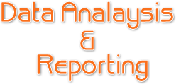 Data_Analysis_&_Reporting