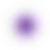 20160512_softroundpurple.png