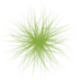 20160519_grassbrush.png