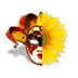 halfmask1.png