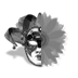 halfmask3.png